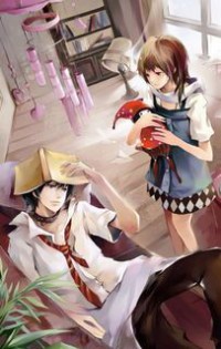 妙手凰妃鳳羽珩玄天冥